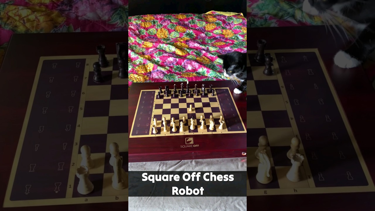 Robo Chess - Jogo Gratuito Online