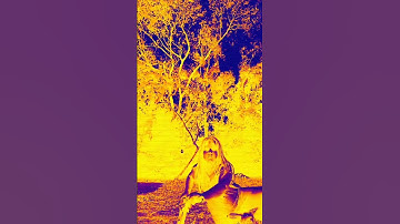 Invert Colors!! ❤️🧡💛💜💙