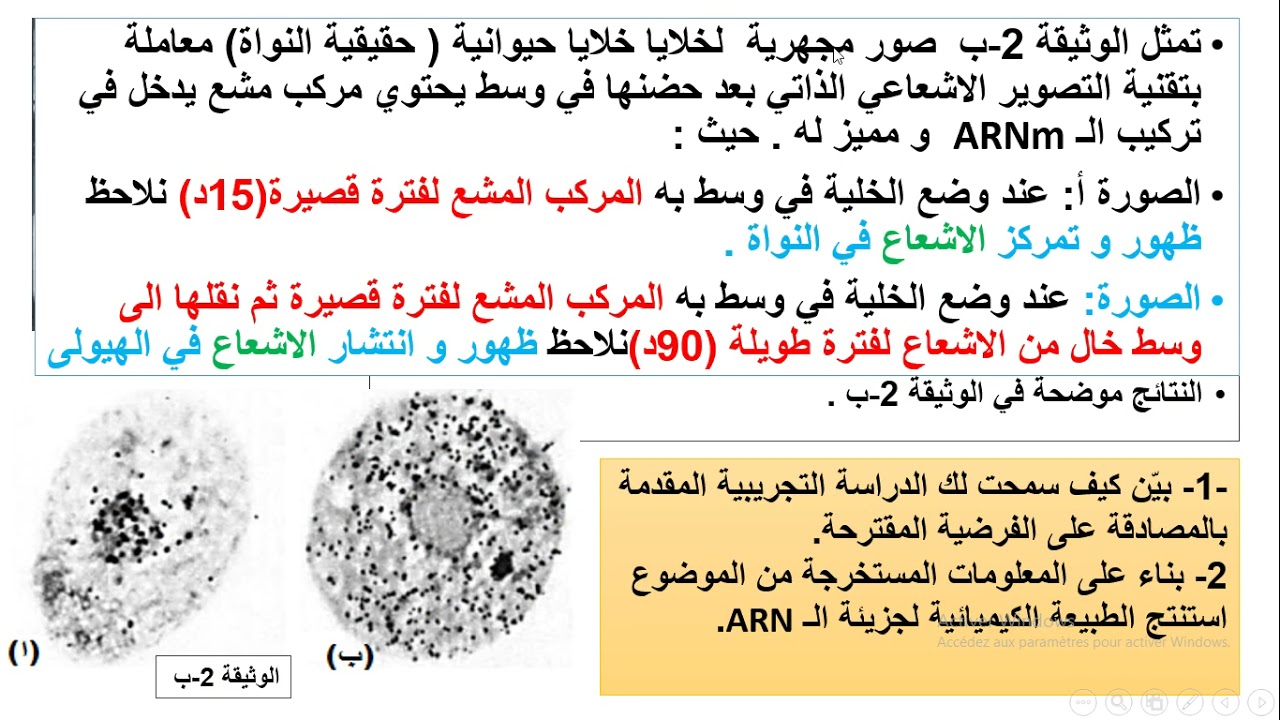 الجزء الاخير من حل تمرين الاسيتابولاريا