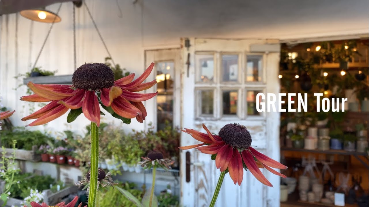 ガーデニングお洒落 荒れがちな夏でもエイジング加工の壁や扉やレンガがお庭をオシャレに