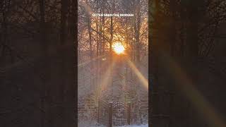 Guten Samstag Morgen