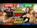 Best Ant-Shedding Brush To Buy For Pet Owners Review! [MUST WATCH]