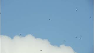 154564 807739207 small