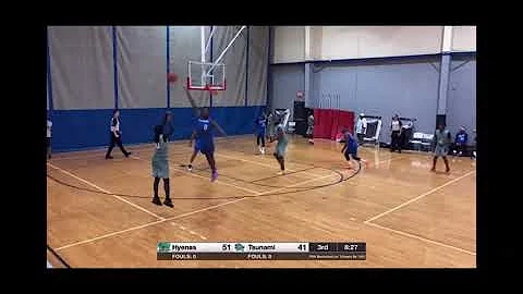 Eddie Sims highlights (Texas Hyenas)