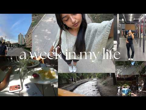 a week in my life | vlog