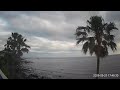 ヤッシーファミリー🌴🌴🌴🌴応援カメラ(鹿児島県枕崎市)フッキー🙋♂️👋もたまに・・・