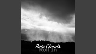Raindrop Reflection
