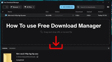How to use Free Download Manager (Full Guide)