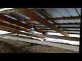Farm building update Farm building update