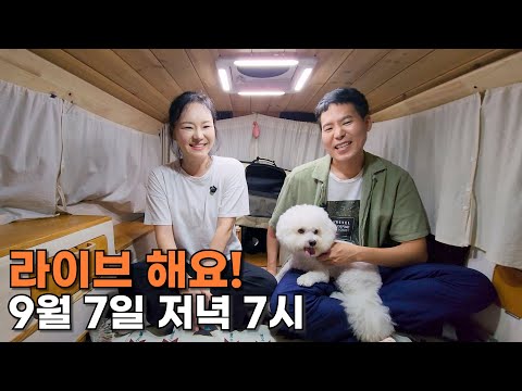 영심이네
