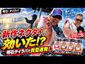 ササラボ佐々木さんと明石へ。新作ネクタイで真鯛を狙った1日