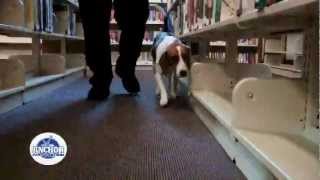 Anchor Pest Control - Anchor Finds Bed Bugs in Old Bridge