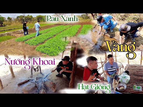 Nguyễn Tiến ||
