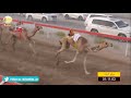 الشوط 10 زيورخ لـ حميد سلطان سالم البادي شارة الصندوق السبت 2019 07 27 الوقن فطامين الشوط 10 زيورخ لـ حميد سلطان سالم البادي شارة الصندوق السبت 2019 07 27 الوقن فطامين