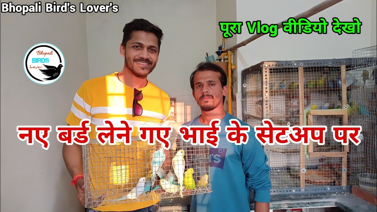 jabardast Bird vlog video// इतने सारे बर्ड्स मजा आगया आज तो, देखें विडियो #birds