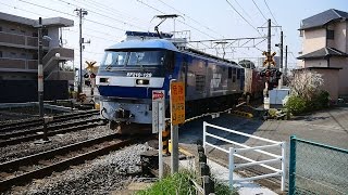 ｄ51 に関する動画 47 99ページ 鉄道コム