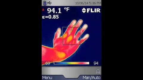 Flir I50 Video