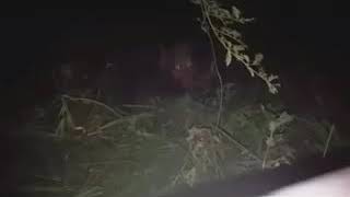 Supuesta aparición en Villaguay: ¿real, o broma de mal gusto?