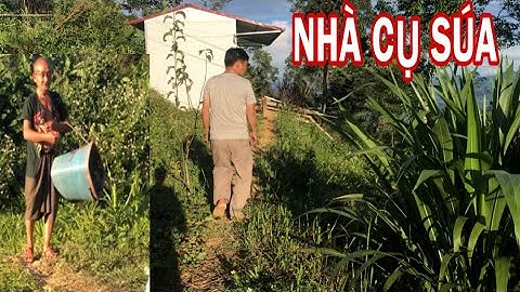 KHÔNG Xem Thì Phí "NHÀ CỤ SÚA" CÓ SỰ THAY ĐỔI Lớn Sau Mấy Tháng Em Hiệp Giúp Đỡ,Và Món Quà Muộn