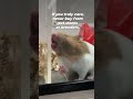 Buying Them Doesn't Save Them 💔🐹🦜