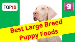 Best Large Breed Puppy Foods|Top 10-Hill's Science Diet(Reviews)✅Part 9