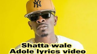 Shatta wale_-_Adole lyrics video