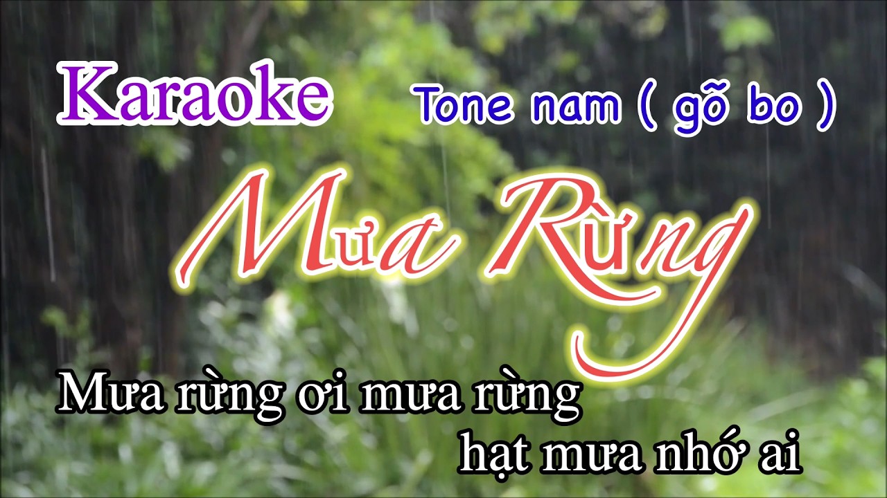 Mưa Rừng Karaoke Tone Nam | Dũng Trương