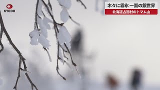 【速報】木々に霧氷、一面の銀世界 北海道占冠村のトマム山