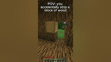 POV: you accidentally strip a block of wood  #minecraft #memes #gaming #funny  #minecraftmemes #meme