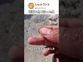 透明な魚を拾った男