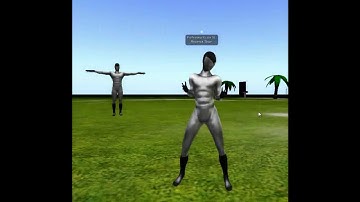Mesh test in Second Life