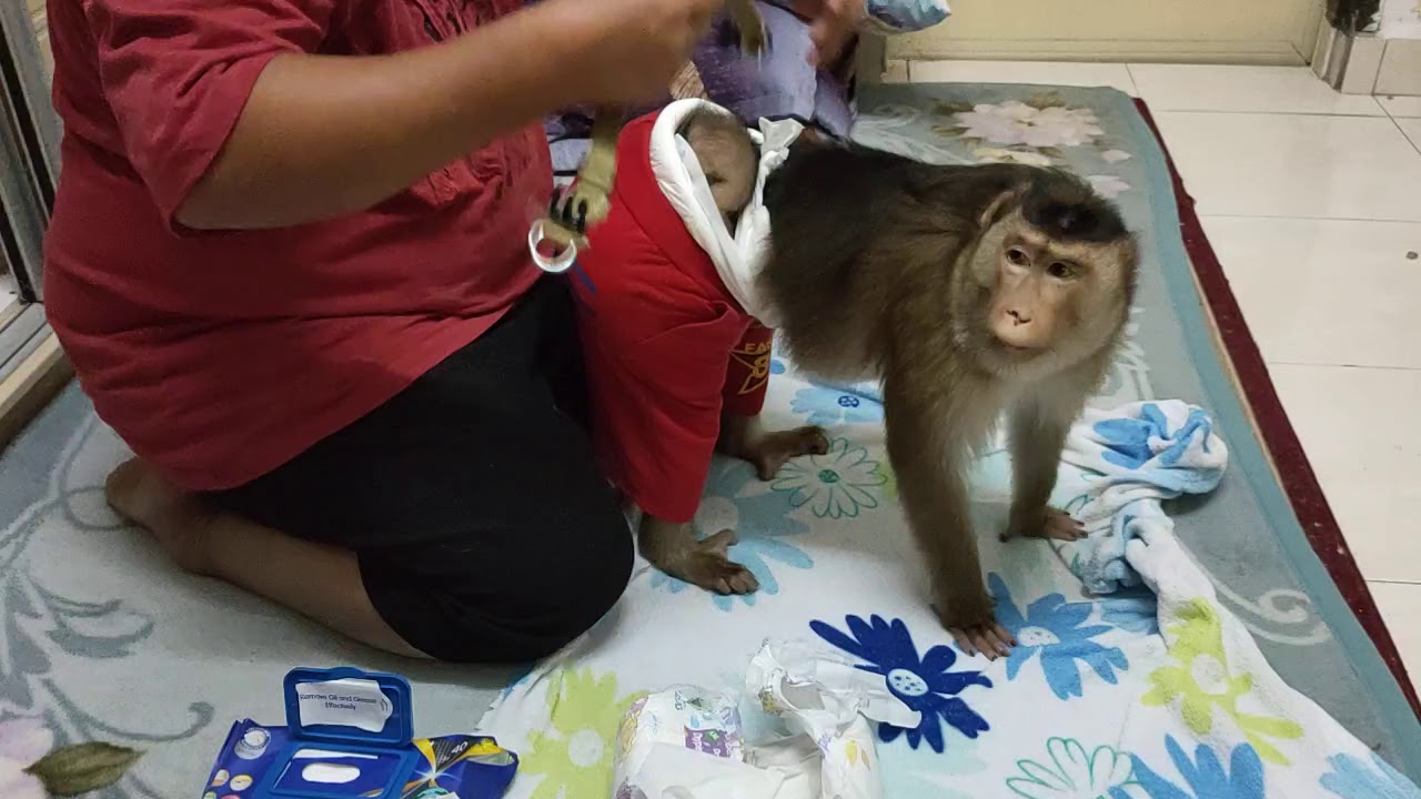 Смена подгузников Jk Shaki