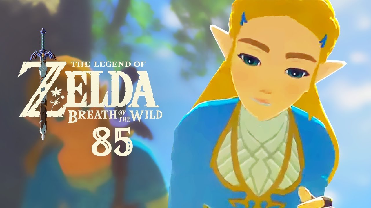 The Legend of Zelda Breath of the Wild 85 When You Wish Upon a