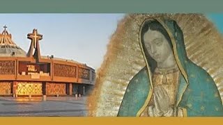 La Santa Misa Lunes 25 de Marzo del 2024 by Santa Misa Catolica 31 views 1 month ago 59 minutes