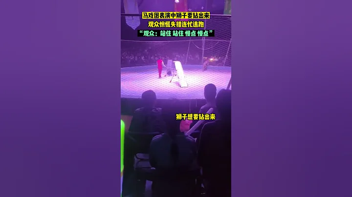 馬戲團獅子表演時欲出逃，觀眾驚慌逃跑！The circus lion wanted to escape during the performance,  audience fled in panic! - 天天要聞