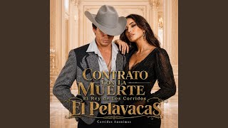 Un Jefe de Culiacan