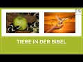 Sonntagschule - Tiere in der Bibel (#Kinderstunde #Kinderkirche #Kindergottesdienst)