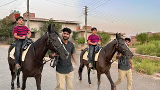 Shayan Ny Aj Horse Riding kiBilkul Nh Dra