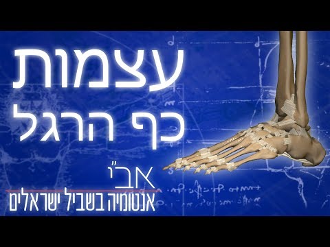 וִידֵאוֹ: מה המשמעות של כף הרגל בבנייה?