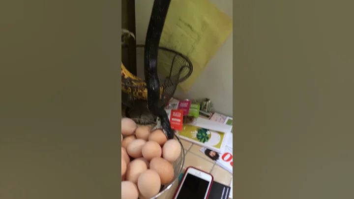 ORIGINAL: Kitchen Spice Cabinet Snake: And Then TH...