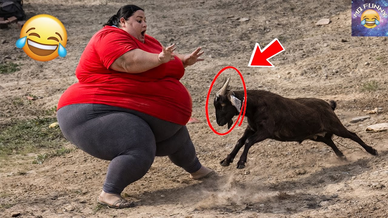 Top 100 Funniest Fail you Missed 2026 |😂😁 Try Not To Laugh || Memes Par 23