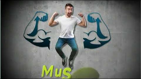 Excel 8. Module 4. Muscles