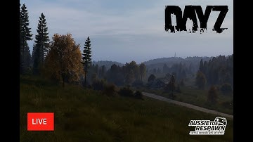 🎒DAYZ Livestream – Here we go again! - #heybarmbyslivonia  #dayz #survivalgame