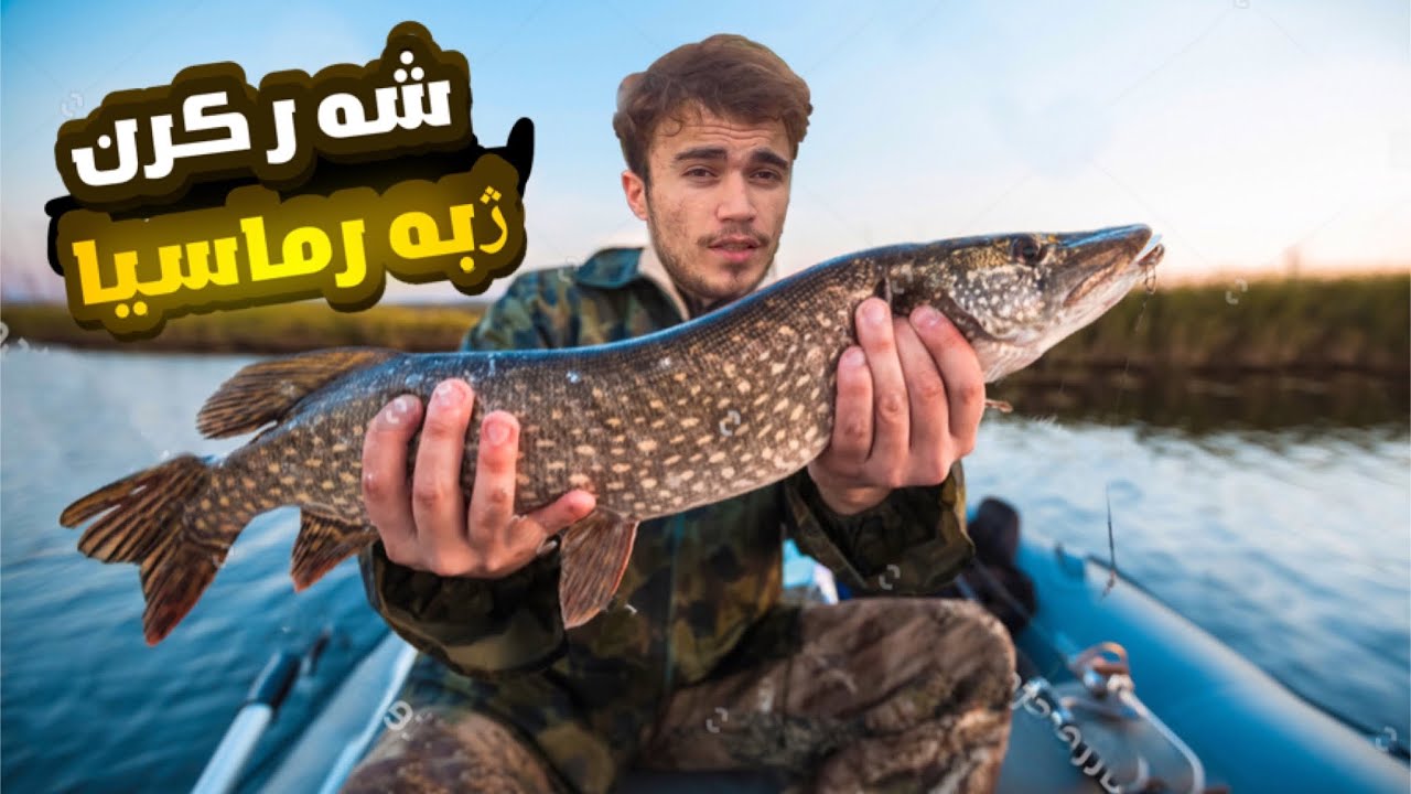 كورده ‌ك شه‌رى دكه‌ت ژبه ر گرتنا ماسيا 🔥!!!