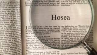 The Holy Bible - Hosea Chapter 14 ESV