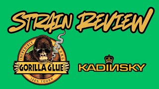 Gorilla Glue #4 Kadinsky - Strain Review