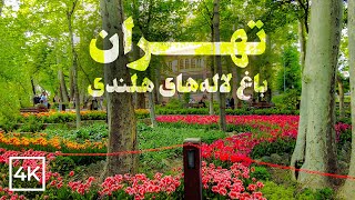 Beautiful Iranian Garden (Bagh-e Irani) in TEHRAN, IRAN | تهران، باغِ ایرانی