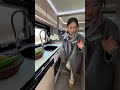 #recreationalvehicle  #travel  #camping #travel trailer camping#automobile