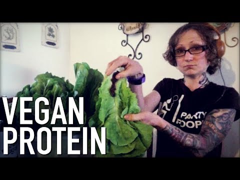 Protein on a Raw Vegan Diet | Vegan Protein Sources