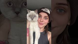 Kedi Dilinde Buraya Gel Nasıl Söylenir, Benim Kedim Anlayacak Mı?